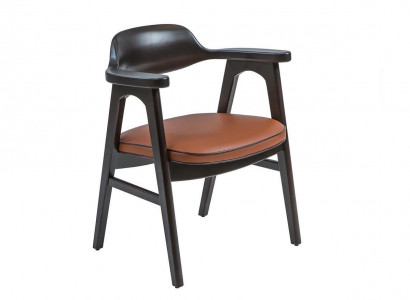 Esszimmer Stuhl mit Armlehnen Schwarz Holzstuhl Neu Möbel Design Sitz